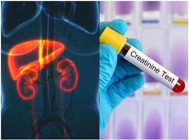 Normal levels of creatinine in blood